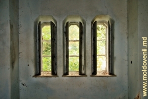 Стрельчатые окна с видом на парк