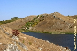 Toltrele de deasupra lacului de acumulare de pe rîul Racovăţ