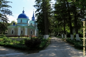 Aleea centrală şi biserica de vară a mănăstirii Hîrjauca – primăvara, 2011