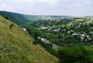 Вид на Реут и село Требужень