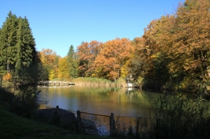 Озеро в лесу вблизи Садова, Кэлэраш