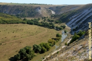 Общий вид долины Реута за селом Требужень со склона на окраине села, крупный план