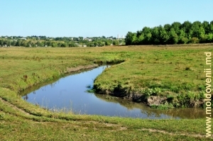 Rîul Ciuhur în apropierea satului Parcova, Edineţ