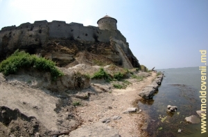 Cetatea Sorocii