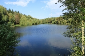 Unul din cele trei lacuri din parcul orăşenesc Edineţ