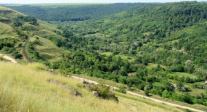 Valea rîuleţului Cosărău în satul Naslavcea, Ocniţa