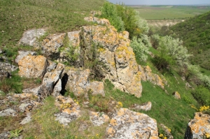 Толтры и цветущий кустарник на левом склоне ущелья