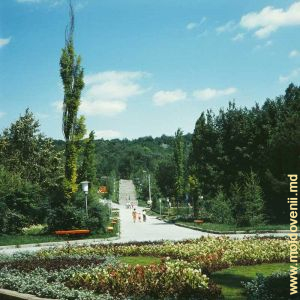 Parcul Boris Glavan. Anul 1980