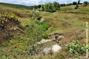 Locul de unde izvorăşte Ciuhureţ din lacul de acumulare, satul Şofrîncani, Edineţ