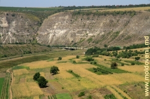 Западный (правый) склон Бутученского ущелья у моста через Реут