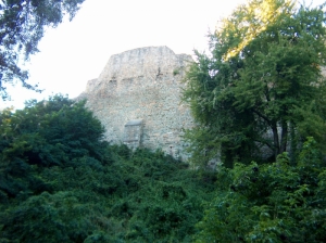 Крепость Нямц