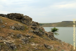 Толтры над рукавом Костештского водохранилища вдоль русла р. Чухур у села Вэратик