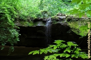 Водопад в лесу у монастыря Рудь, Сорока