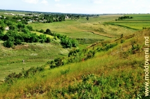 Vedere spre Racovăţ şi valea lui de pe pantele defileului şirului de toltre din preajma satului Halahora de Jos, Briceni