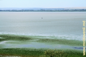 Lacul Rotunda de lîngă satul Manta, raionul Cahul
