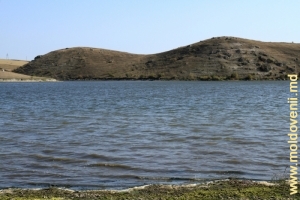 Toltrele de-a lungul lacului de acumulare Racovăţ în partea lui superioară