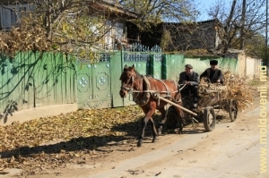 Uliţă a satului, Sadova, Călăraşi