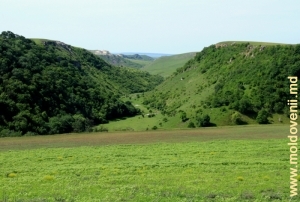 Общий план Володенского ущелья. Вид с левого берега реки Раковэц