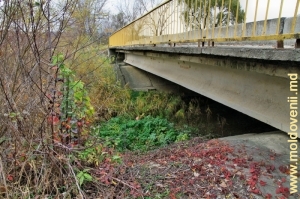Podul peste rîul Bîc din preajma satului Peticeni