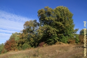 Осенний пейзаж в селе Веверица, Кэлэрашь. Октябрь