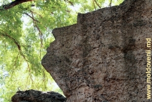 Часть скалы на вершине Восточного холма, на которой скульптор вырезал свой профиль (контур на фото нанесен для наглядности)