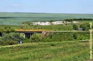 Мост над рекой Куболта у села Плоп, Дондюшень