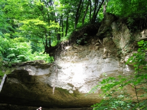 Обрывистый склон в лесу вблизи монастыря, Монастырь Рудь, Сорока