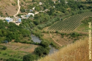 Реут, протекающий через село Бутучень
