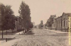 Гостиная улица, 1889 год. Перекрёсток нынешних улиц Митрополита Дософтея и М. Чеботарь