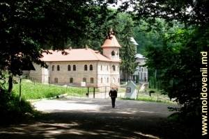 Вид монастыря Рудь, Сорока из леса