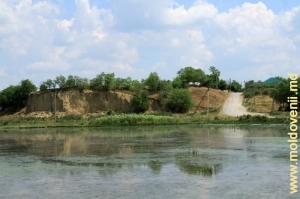 Lunca inundabilă a Prutului lîngă satul Serghieni, raionul Glodeni