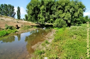 Rîul Racovăţ din satul Tîrnova, Edineţ