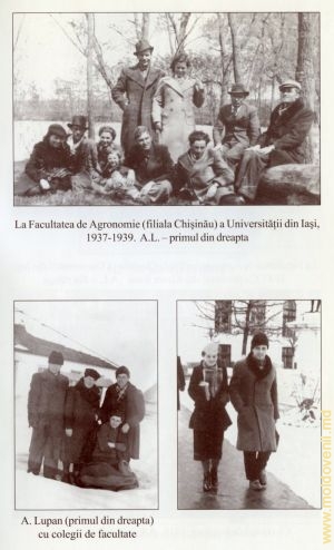 На аграрном факультете (Кишиневского филиала) Ясского университета, 1937-1939. А. Л. – первый справа
            А. Лупан (первый справа) с коллегами по факультету.
