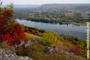 Памятник природы «Обрывистый берег Днестра» между селами Вережень и Наславча