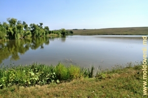Lacul de acumulare din satul Bălcăuţi, Briceni