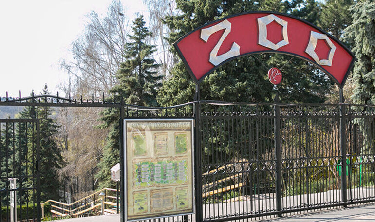 Grădina Zoologică va relua excursiile gratuite pentru copiii