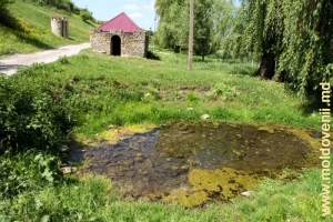 Zona de odihnă de-a lungul rîului Cubolta şi izvoarele restabilite