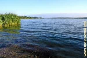 Zona de coastă a lacului de acumulare, malul drept