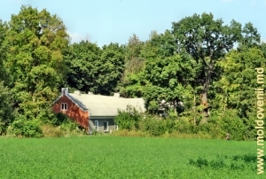 Вид на поместье через поле с юго-востока