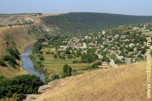 Вид на Реут у села Требужень в западном направлении, крупный план