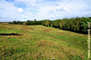Afluentul rîului Ciuhur ‒ Ciuhureţ (Ciuhurel) şi valea acestuia din preajma satului Mihălăşeni