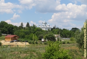 Vedere spre Mănăstirea Hîrbovăţ din partea drumului de acces, 2007