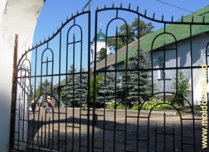 Задние ворота монастыря Жапка (выход к источникам)
