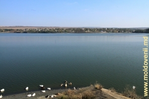 Lacul orăşenesc din Ungheni