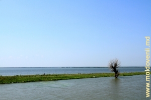 Vedere spre lacul Manta de lîngă satul Crihana Veche, raionul Cahul