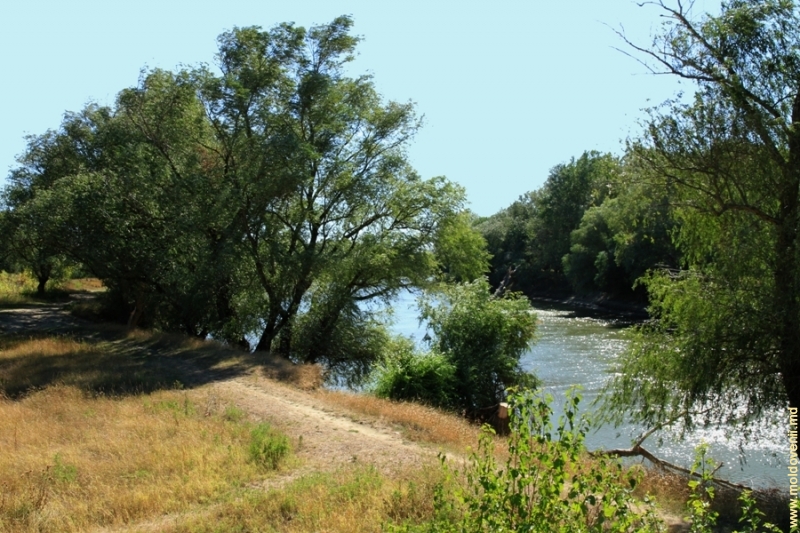 Река турунчук