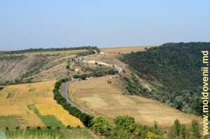 Дорога в Старый Орхей по хребту, разделяющего Требуженское ущелье и долину Реута у Бутучень