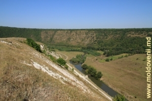 Вид в юго-западном направлении на долину Реута за селом Требужень с левого склона скального массива