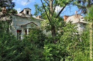 Parcul spitalului din satul Stolniceni, sus de valea rîului Cihur
