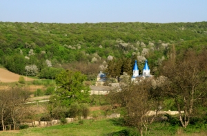 Pădure primăvara împrejurul mănăstirii Ţigăneşti, Orhei